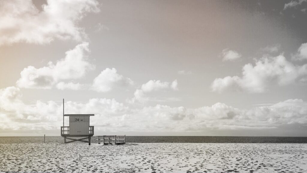 セクション５画像