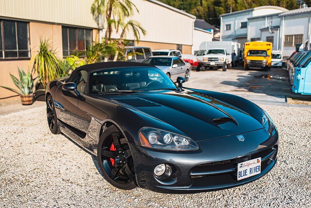 ダッチバイパーメイン画像