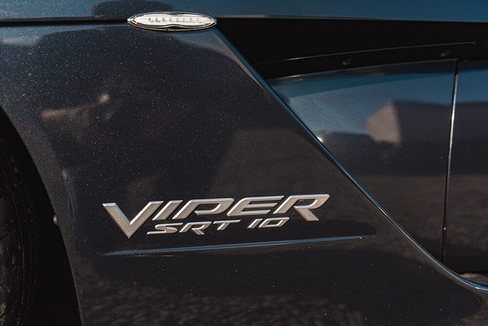 ダッチバイパー画像１